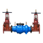 8" Dbl Detector Asy W/Os&Y Fxg