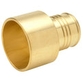 Straight, Brass, Cup 2 in, Barbed 2 in