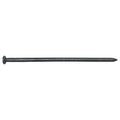 Common Nail, 3-1/2 in L, 16D, Steel, Plain Finish, 7 ga, 200 PK