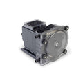 PeristalticChemMeterPump,315gpd,100psi