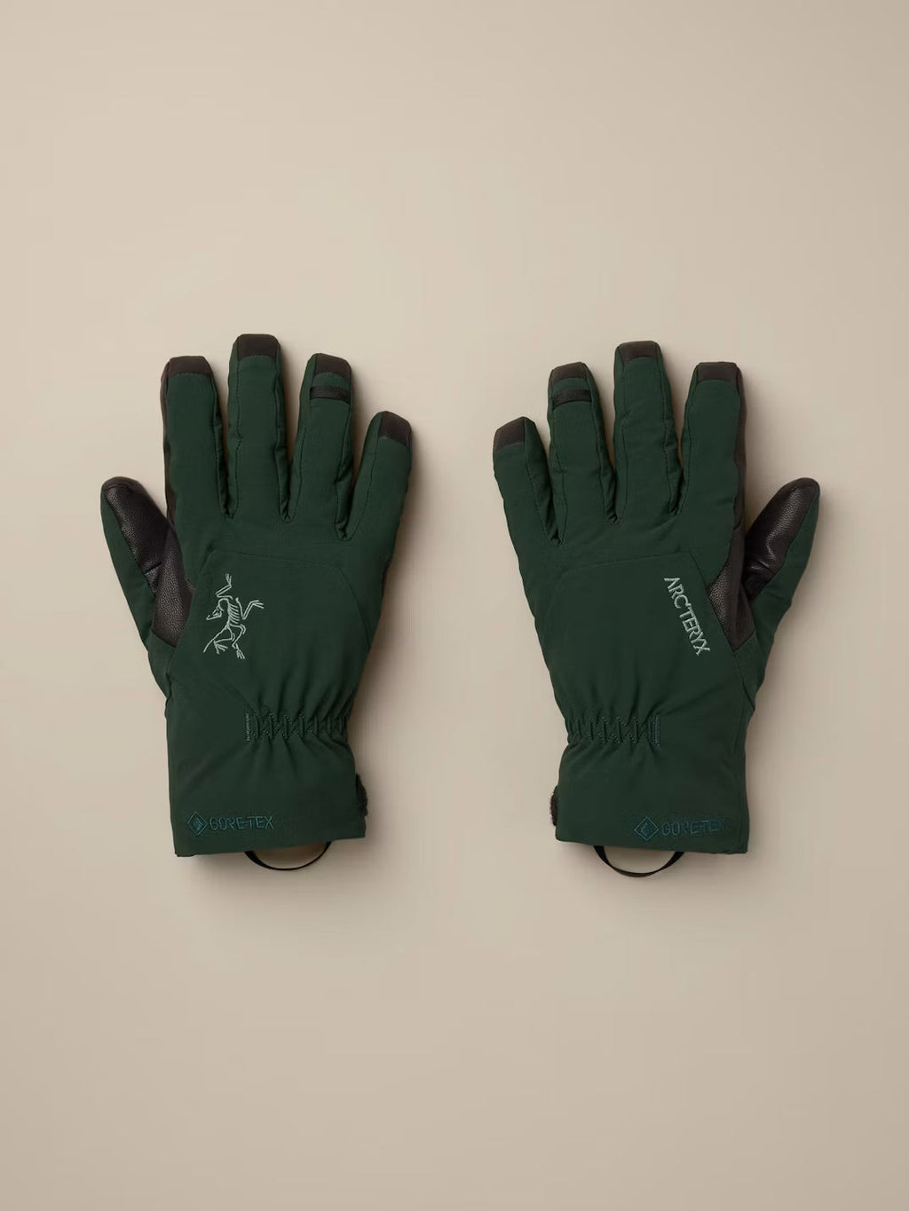 Arc'teryx Venta GTX Glove