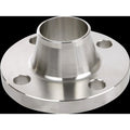 3" Welded SS Weld Neck Flange Sch 40