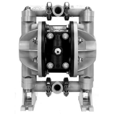 Diaphragm Pump, Acetal/Ss/Ss/Ptfe,1/2",6