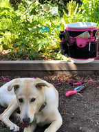Bucket Organizer - Pink - DT0825P