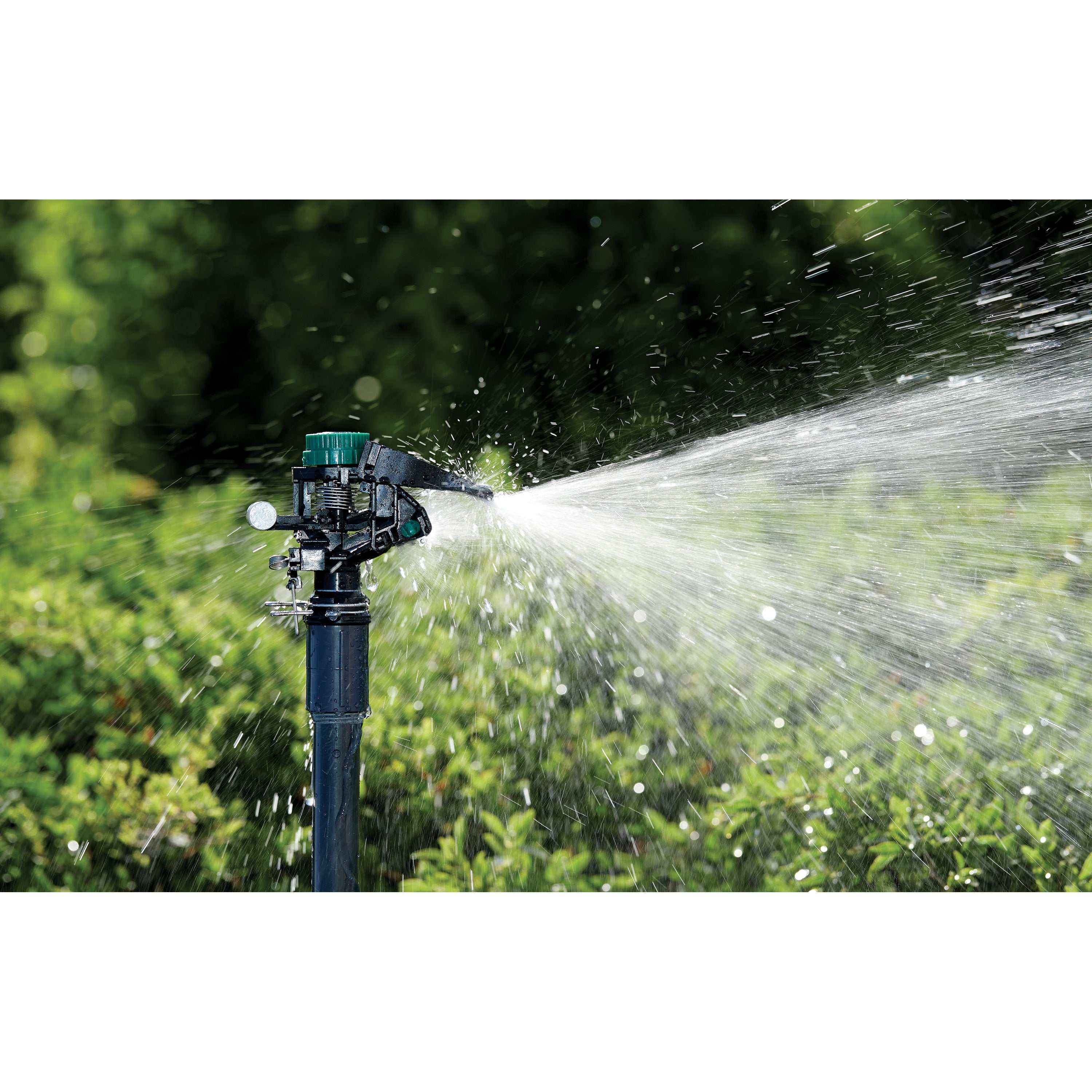 1/2-in. MPT Impact Sprinkler Head with Weighted Arm 55024