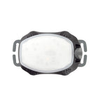 Princeton Tec Meridian Strobe/Beacon - 100 Lumens - 100 Hours