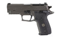 Sig Sauer P229 Legion |  Semi-automatic |  Single Action Only |  Metal Frame Pistol |  Compact |  9MM |  3.9" Barrel |  Cerakote Finish |  Legion Gray |  Black G10 Grips |  XRAY3 Day/Night Sights |  Optic Ready |  10 Rounds |  3 Magazines