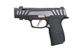 Sig Sauer P365-AXG EQUINOX |  Semi-automatic |  Striker Fired |  Metal Frame Pistol |  Micro Compact |  9MM |  3.1" Barrel |  Two Port Integrated Expansion Chamber |  Nitron Finish |  Black |  AXG Grip Module |  G10 Grips |  X-RAY3 Day/Night Sights |  3 M