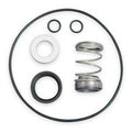 O Ring Kit,T31 Mech Seal