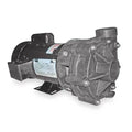 Centrifugal Pump, 1 HP,1 Ph,115/208-230V