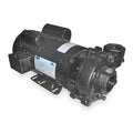 Cast Iron 3 HP Centrifugal Pump 230V