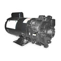 Cast Iron 1 HP Centrifugal Pump 115/230V