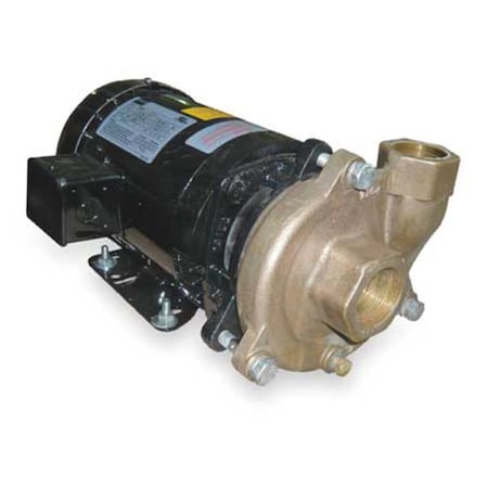Bronze/Brass 2 HP Centrifugal Pump 208-230/460V