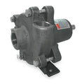 Pedestal Pump, 1/3 hp, SS, 44 ft, 41 gpm