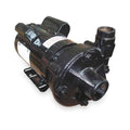 Cast Iron 2 HP Centrifugal Pump 115/230V