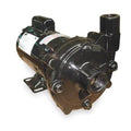 Cast Iron 1/2 HP Centrifugal Pump 115/230V