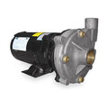 Stainless Steel 3/4 HP Centrifugal Pump 208-230/460V