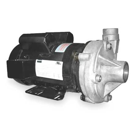 Stainless Steel 3 HP Centrifugal Pump 230V