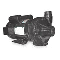 Cast Iron 2 HP Centrifugal Pump 115/230V