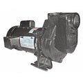 Centrifugal Pump, 2 hp, 115/208 to 230V AC, 1 Phase, 63 ft Max Head