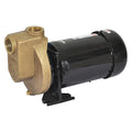 Centrifugal Pump, 2 hp, 208 to 230/460V AC, 3 Phase, 63 ft Max Head