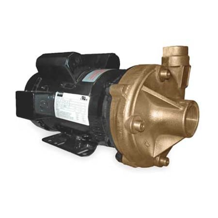 Bronze 3 HP Centrifugal Pump 230V