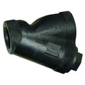 Y Strainer, 3" Pipe, FNPT x FNPT, Cast Iron, Stainless Steel,PTFE
