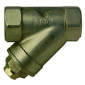 Y Strainer, 2" Pipe, FNPT x FNPT, 316 Stainless Steel, 800 psi