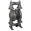 Double Diaphragm Pump, Cast iron, Air Operated, Santoprene, 215 GPM