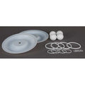 Pump Repair Kit,PTFE,Fluid,1 In.