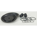 Pump Repair Kit,Fluid,1 In.,For 3HJW5
