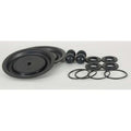 Pump Repair Kit,Fluid,1 In.,For 3HJX1