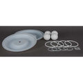 Pump Repair Kit,PTFE,Fluid,1 In