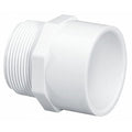 PVC Male Adapter, MNPT x Socket, 1-1/2 in Pipe Size