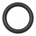 Solvent Kit, For Dayton, (2) O-Rings
