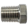 Pipe Plug SS316,1/4 Npt SS,PK2