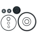 Piston Pump Repair Kit,Viton