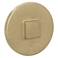 Plug, Brass, Threaded 4 in