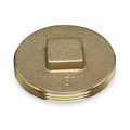 Plug, Brass, Threaded 3 in