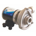 Stainless Steel 5/32 HP Centrifugal Pump 12V