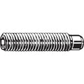 Set Screw,ST,M8 x 1.25mm,Dog,10mm,PK100