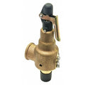 Safety Relief Valve,3/4in.x1in.,25 psi