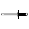 Blind Rivet, Large Flanged Head, 3/16 in Dia., 15/16 in L, Aluminum Body, 250 PK