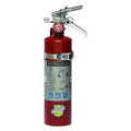 Fire Extinguisher, Class ABC, UL Rating 1A:10B:C, Rechargeable, 2.5 lb capacity, 15 ft Range