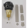 Flow Switch,1 In Nema