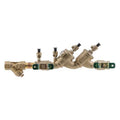Double Check Valve,Watts719,1/2in,FNPT