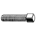 Socket Set Screw,Cup,1/4-20x2,PK100