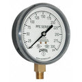Pressure Gauge, 0 to 300 psi, 1/4 in MNPT, Plastic, Black