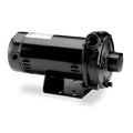 Cast Iron 1-1/2 HP Centrifugal Pump 208-230/460V