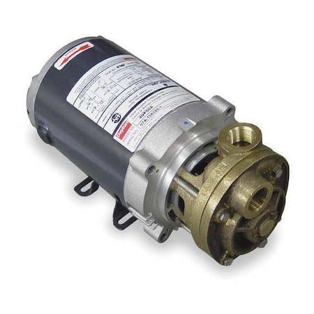 Pump,Turbine,1/2 HP